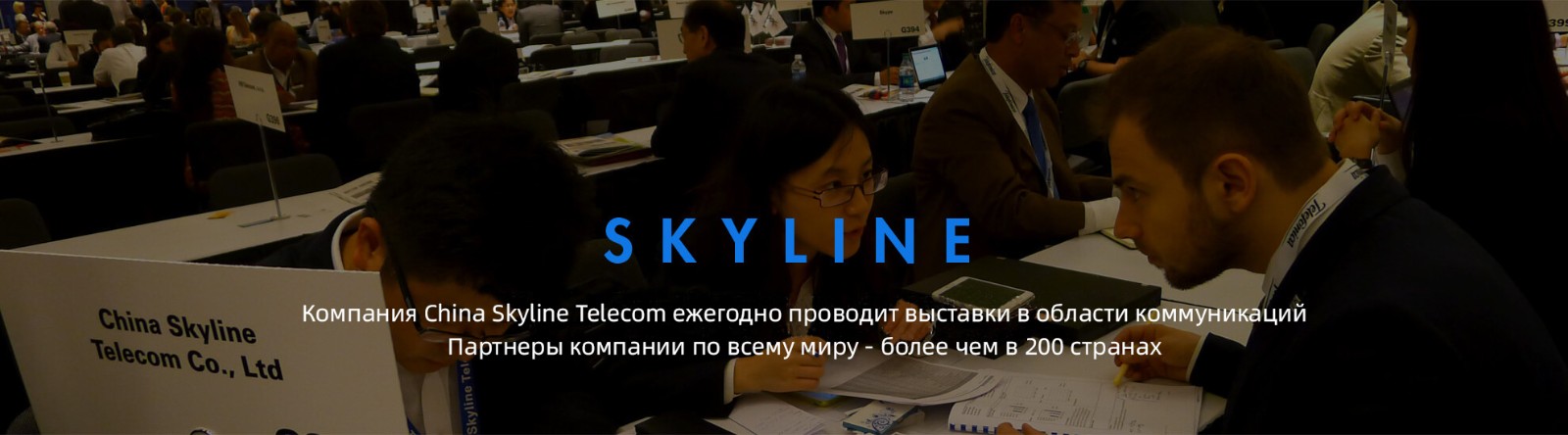 China Skyline Telecom